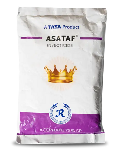 Asataf Insecticide