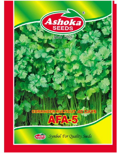 Ashoka AFA-5 coriander seeds