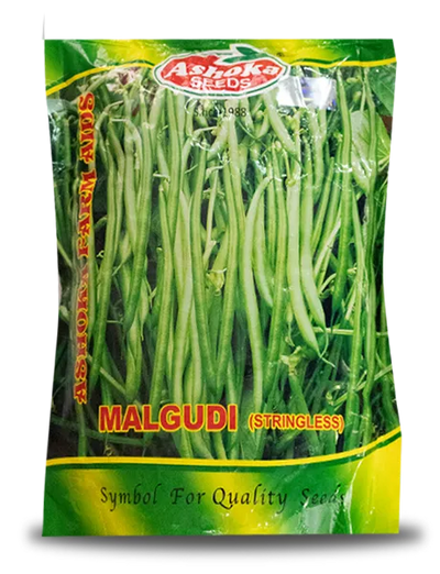 MALGUDI BEANS