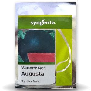 AUGASTA HYBRID WATERMELON SEEDS