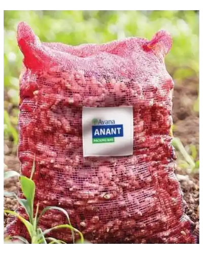 AVANA ANANT LENO BAG