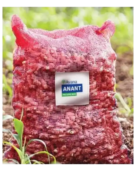 AVANA ANANT LENO BAG