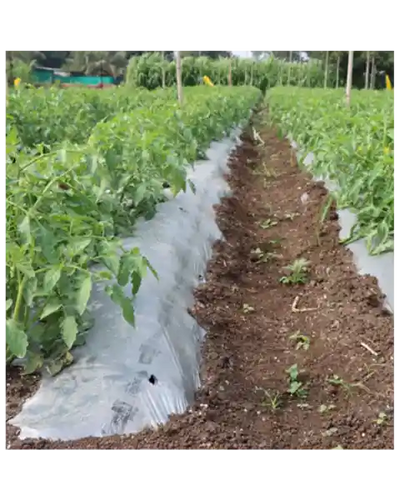 AVANA MULCHING FILM