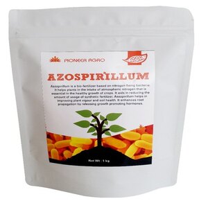 AZOSPIRILLUM BIOFERTILIZER