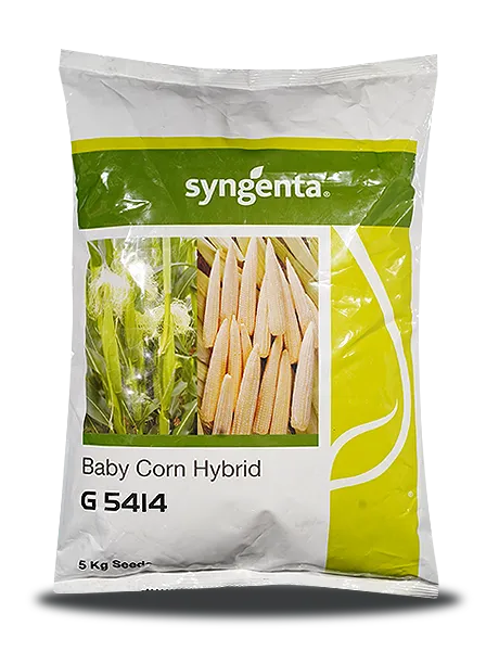 G5414 BABYCORN SEEDS