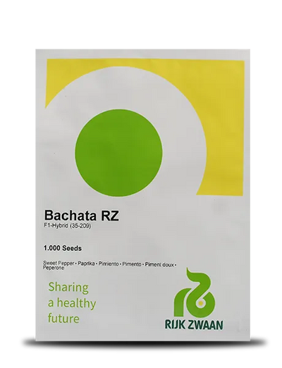 BACHATA RZ F1 YELLOW CAPSICUM