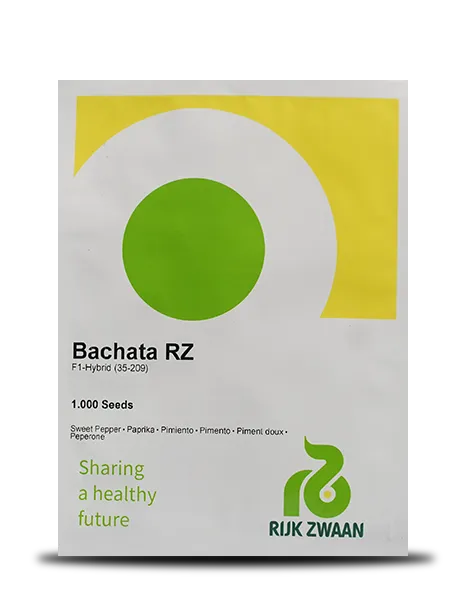 BACHATA RZ F1 YELLOW CAPSICUM