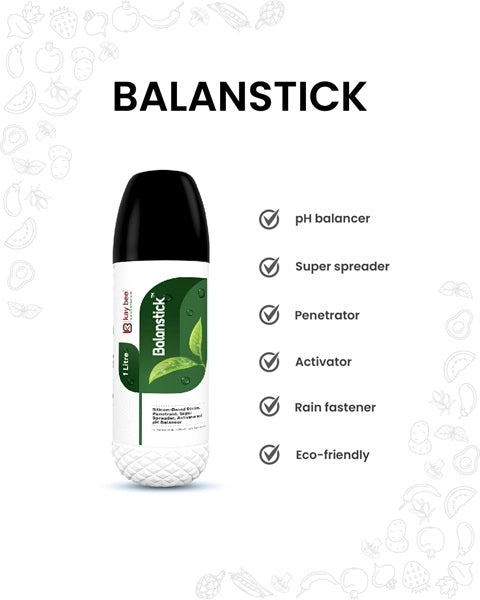 KAYBEE BALANSTICK SILICON STICKER