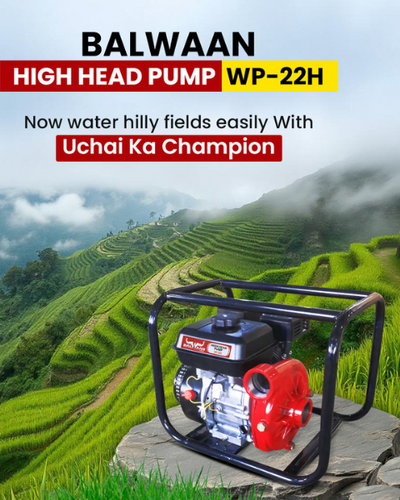 Balwaan 2 x 2-Inch-High Head Pump WP-22H