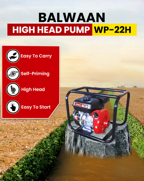 Balwaan 2 x 2-Inch-High Head Pump WP-22H