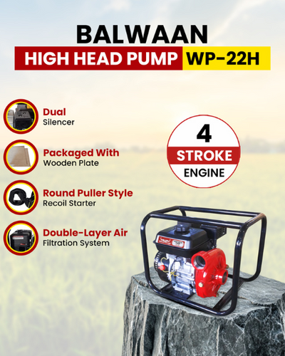 Balwaan 2 x 2-Inch-High Head Pump WP-22H