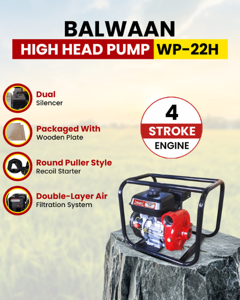 Balwaan 2 x 2-Inch-High Head Pump WP-22H