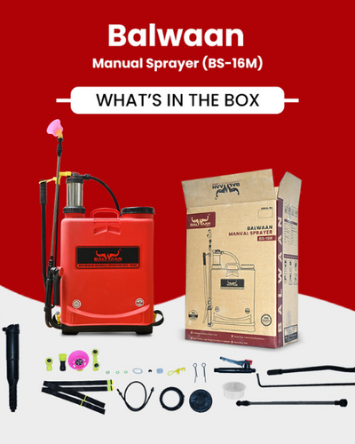 Balwaan BS-16M Manual Sprayer