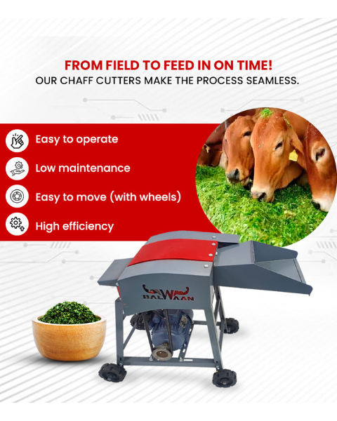 BALWAAN CH-120 CHAFF CUTTER WITH MOTOR