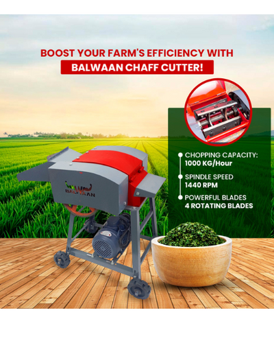 BALWAAN CH-120 CHAFF CUTTER WITH MOTOR