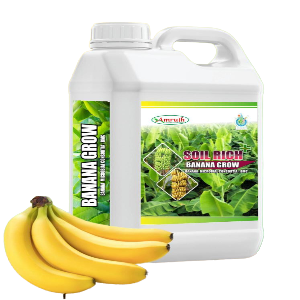 AMRUTH BANANA MICROBIAL CONSORTIA (BMC)