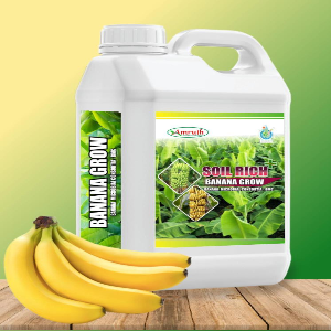 AMRUTH BANANA MICROBIAL CONSORTIA (BMC)