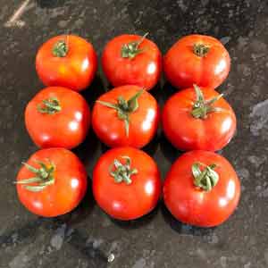 BANGALORE RED TOMATO