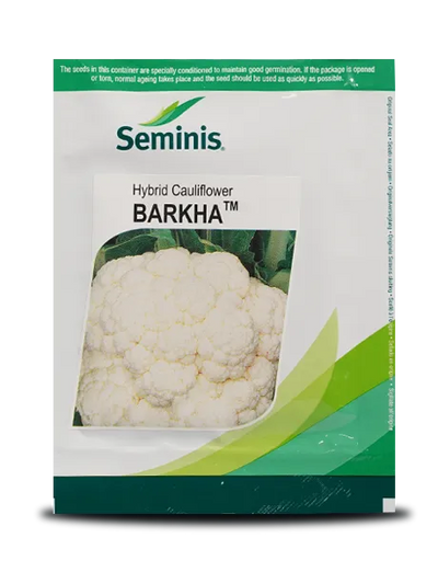 BARKHA CAULIFLOWER