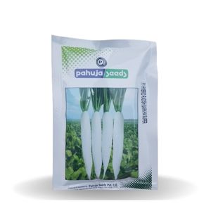 BARKHA SUPER F1 HYBRID RADISH