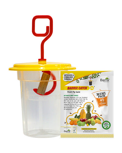 Barrix Catch Fruit Fly Trap Set – Mini