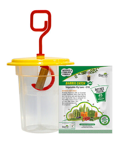 Barrix Catch Vegetable Fly Trap Set – Mini