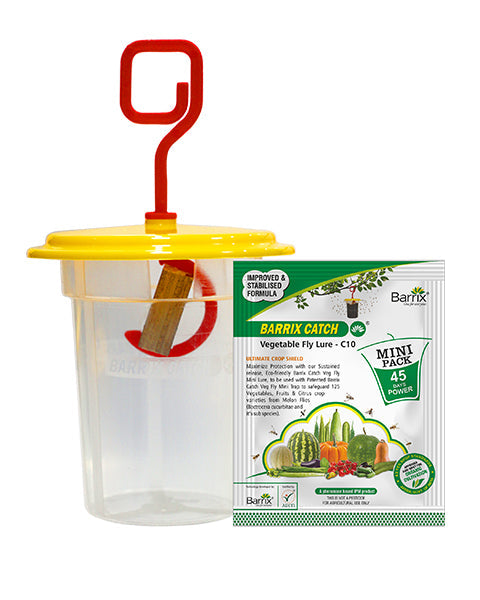 Barrix Catch Vegetable Fly Trap Set – Mini