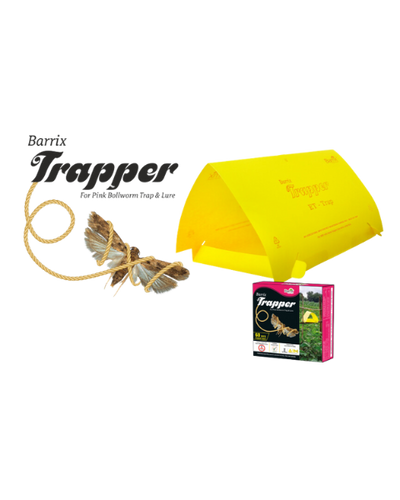 BARRIX TRAPPER PINK BOLL WORM TRAP & LURE SET