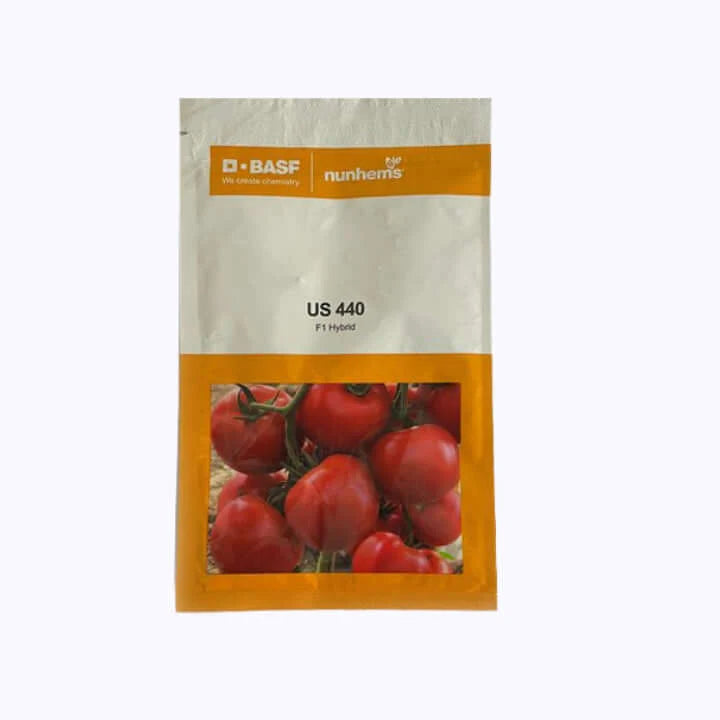 US 440 TOMATO SEEDS