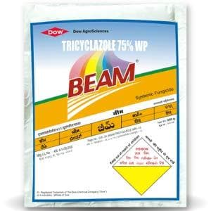 BEAM FUNGICIDE