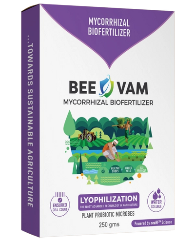 BEE VAM ( BIO FERTILIZER)