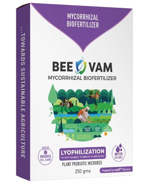 BEE VAM ( BIO FERTILIZER)