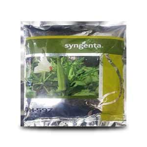 SYNGENTA OH-597 BHENDI (OKRA) ( 597 भिन्डी )