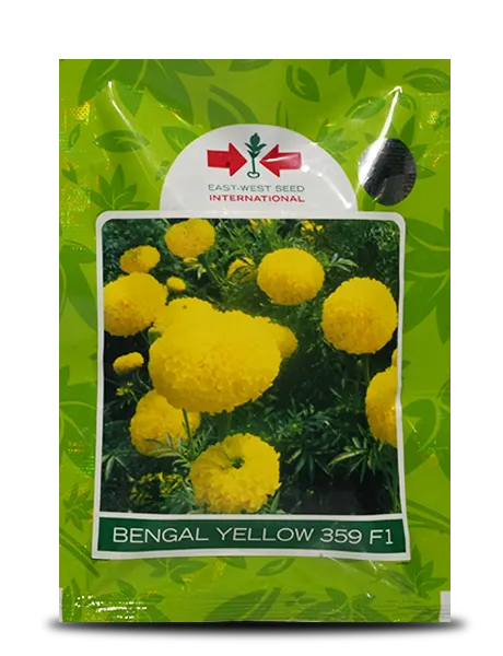 BENGAL YELLOW 359 F1 MARIGOLD