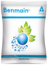 BENMAIN FUNGICIDE