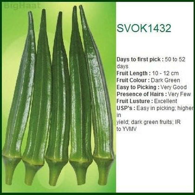 SVOK1432 BHENDI (OKRA) ( एसवीओके1432 भिंडी )