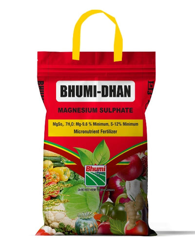 BHUMI DHAN