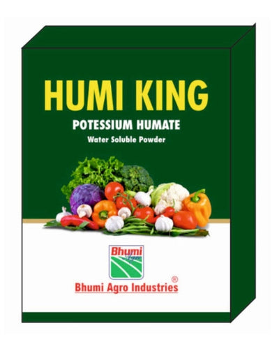 BHUMI HUMI KING