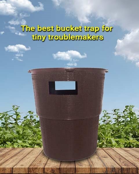 TAPAS BUCKET TRAP