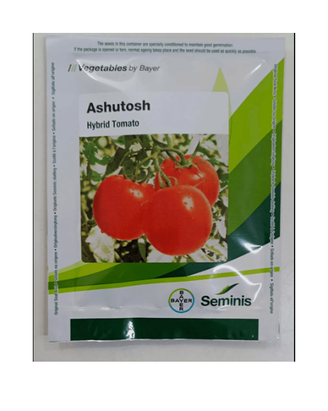 ASHUTOSH TOMATO