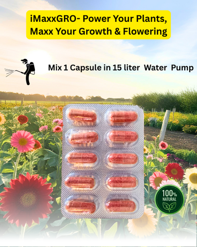 VM Cropcare Imaxx-Gro Growth Promoter