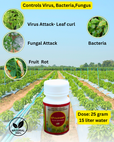 VM Cropcare I prevent Bio Fungicide