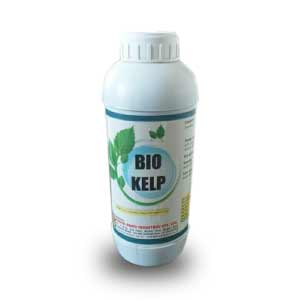 SUN BIO KELP (GROWTH PROMOTER AUSTRALIAN SEAWEED EXTRACT)