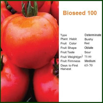 BIOSEED 100 TOMATO SEEDS