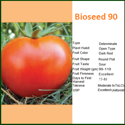 BIOSEED 90 TOMATO