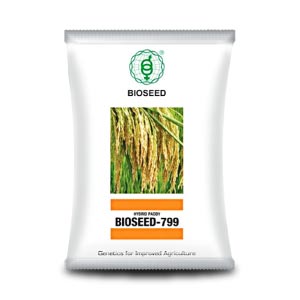 BIOSEED HYBRID PADDY 799