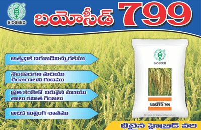 BIOSEED HYBRID PADDY 799