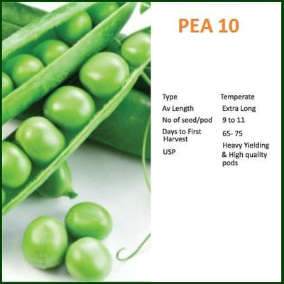 BIOSEED PEA 10 SEED