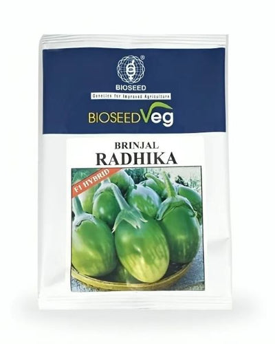 Bioseed Radhika F1 Hybrid Brinjal Seeds
