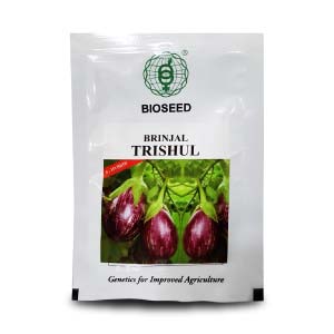 TRISHUL BRINJAL